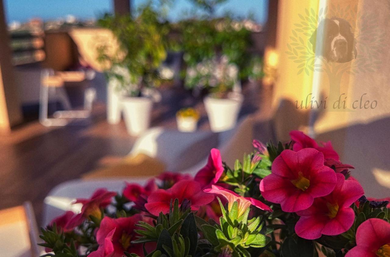 Ulivi Di Cleo Guest House Realmonte Exterior foto